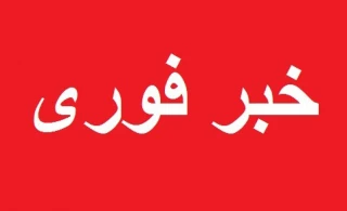 خبر فوری